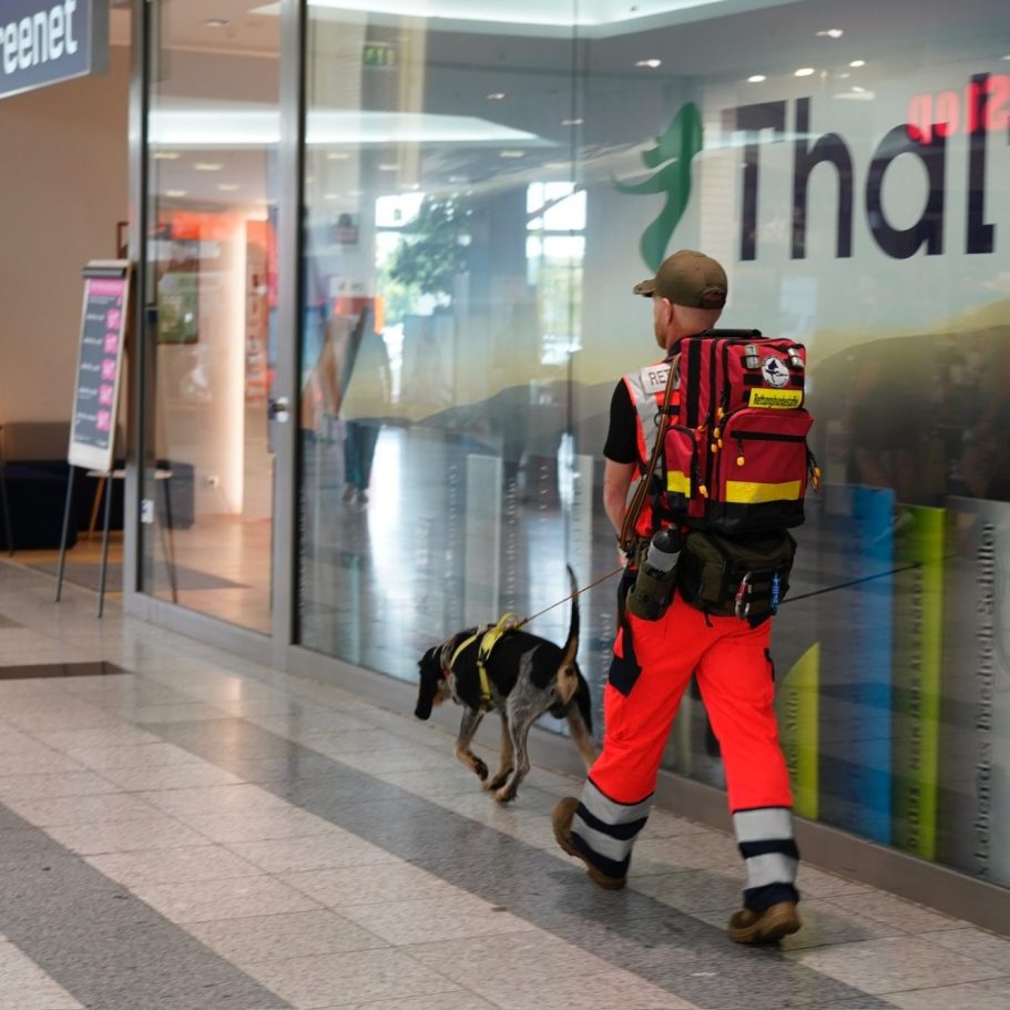 Mantrailer in orangefarbener Kleidung sucht mit einem Hund in einem Gebäude.