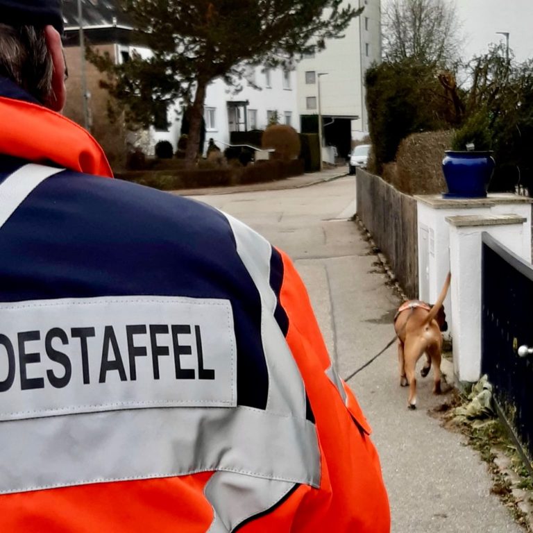 Ein Hund läuft an einem Gehweg, während eine Person in orangefarbener Jacke hinterhergeht.